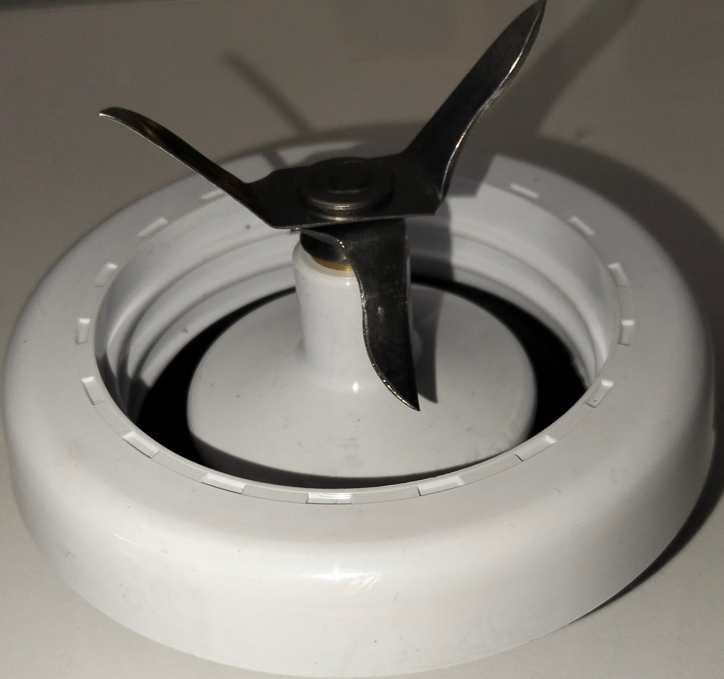 DIAFRAGMA LIC TAURUS POTENZA PORTAVASO INTEGRADO T/OSTER LITA4500D1