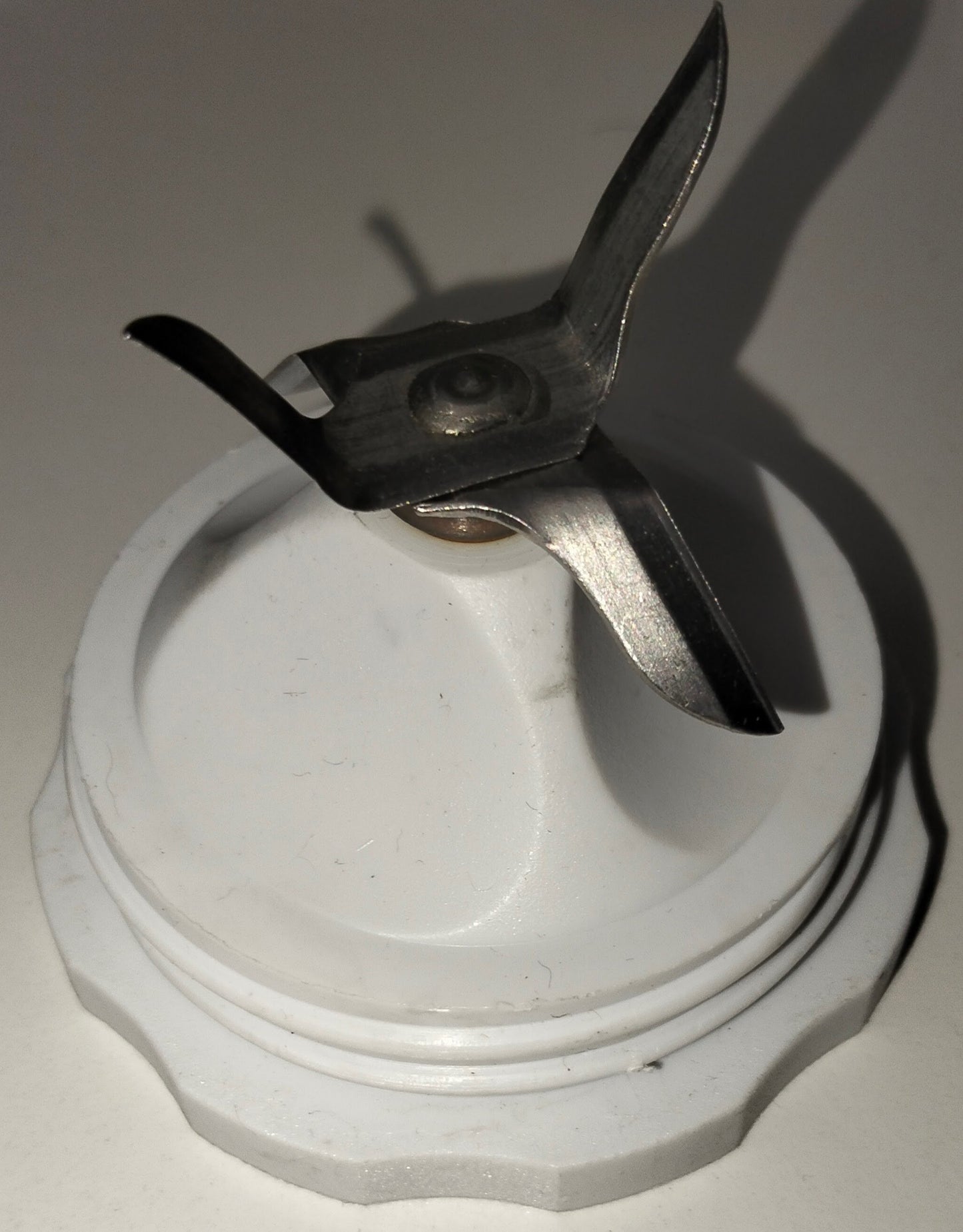 DIAFRAGMA LIC PHI TAURUS ROSCA DERECHA LITA-0260